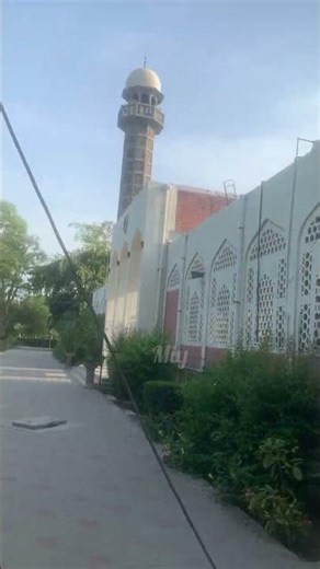 Uaf university of agriculture Faisalabad