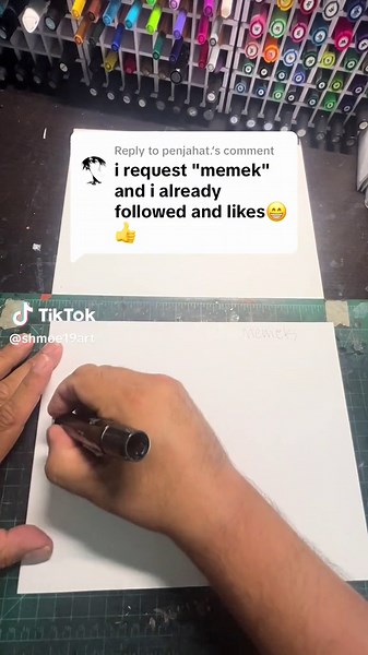 Shmoe19 on TikTok