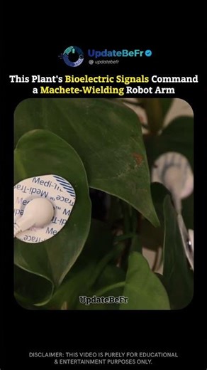 This Isn't Science Fiction... This Plant is Controlling a MACHETE!