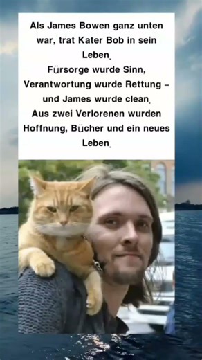 Bob, der Streuner: Wie eine Katze ein Leben rettete