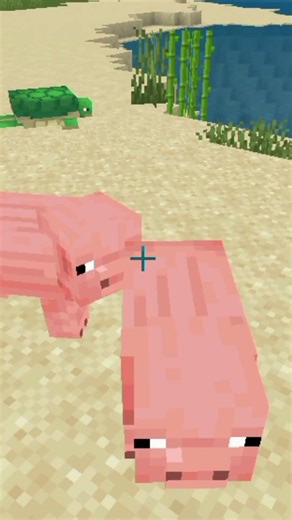 Acada incrito um porco no Minecraft!