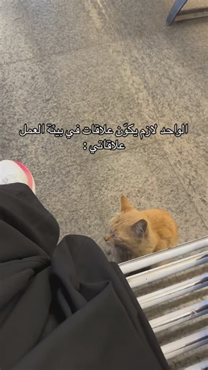 ‎جيجي العامري| Blogger🤳🏻.‎ | ‎#اكسبلور #explorar #like #viral #ترند #اكسبلور #الطايف #الطايف_الان‎ | Instagram