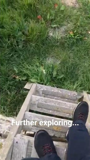 Further exploring at Ackergill Caithness. #exploring #tractor #coast #scottishhighlands #nc500