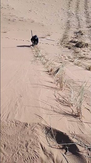 Desert quicksand control process