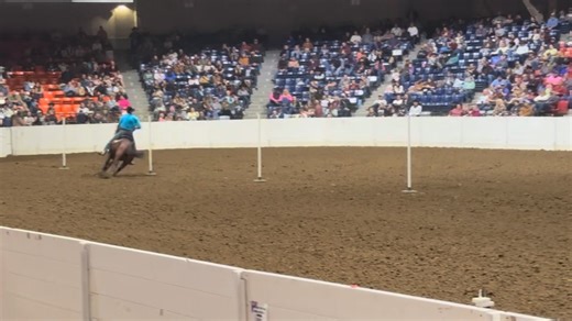 Congrats to the 2025 All American Quarter Horse Congress Sweepstakes Pole Bending Finals Reserve Champion Brock Bawel on Top Gun Dan running a 19.803 🔥🔥🔥 #barrelracingandpolebendingnews #allamericanquarterhorsecongress | Barrel Racing and Pole Bending.NEWS