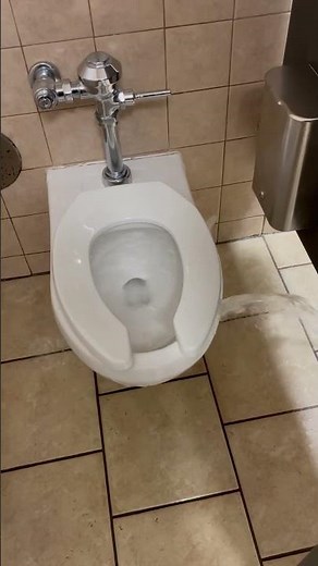 Overflowing Toilet / Crazy Flush 🪠🚽 #plumbing #bathroom #flood