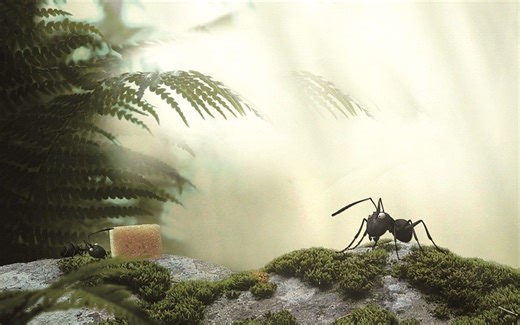 78集全【昆虫总动员第一季003】微观小世界，爱上大自然