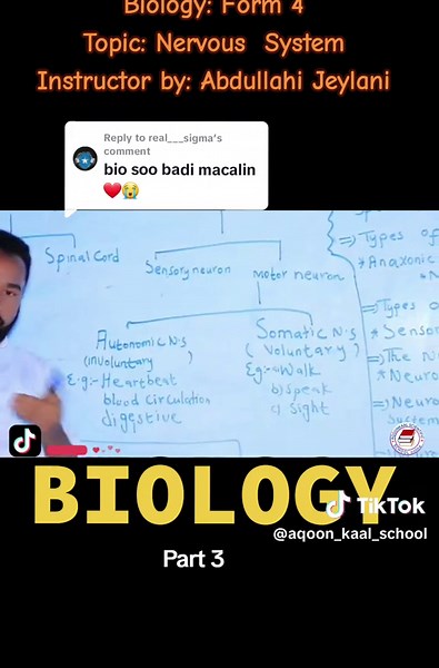 Biology Form 4: Nervous System Explained