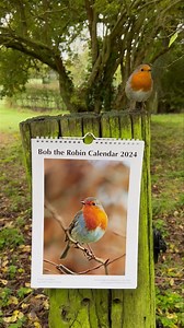 Bobbin, with Bob’s calendar 🥰 The calendars are available from the website, there’s a link at the top of my page. | Putman and Robin