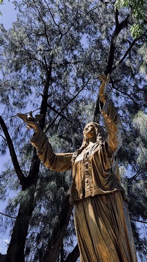 12K views · 77 reactions |  Step into the past, walk through...