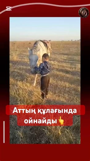 Родился в седле пацанчик🔥. #казахстан #юмор #казахи #қазақ #прикол #қазақстан #тұлпар #пацан #седло