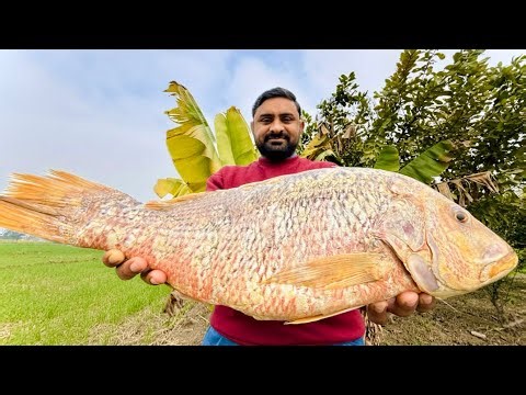 Golden Fish Rosat | Low Flame, Deep Flavor | Slow Cooked Fish Rosat | Uniqe Special Fish Rosat