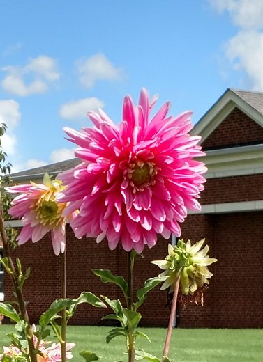 Masonic Assisted Living | MAHOVA