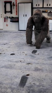 Giving your garage a refresh is easier than you think with the Gorilla Garage Floor Coating Kit, now available in gray and black. Which color are you picking for your garage makeover? | The Gorilla Glue Company