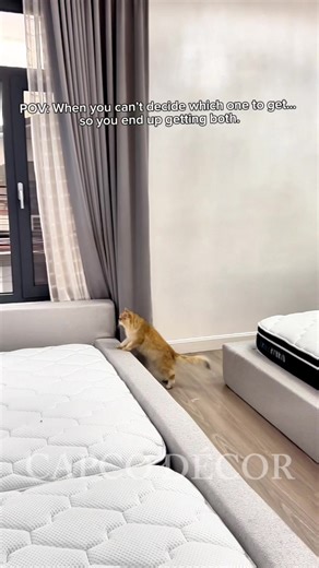 When choosing one isn’t an option… so you take both 😌✨ Because why settle for less when you can have double the comfort, double the style, and zero regrets. 🛏️💭 #marshmallowbedinthephilippines #capcodecor #familybed #trendingbedframe #trendingbedframe