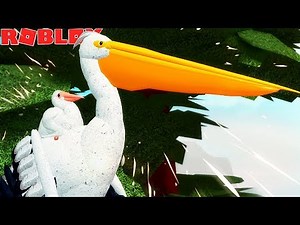 VIDA DE PELICANO Filhote! O NOVO ANIMAL e PAPAI MALUCO! - ROBLOX Feather Family | *Para Crianças* 🦅