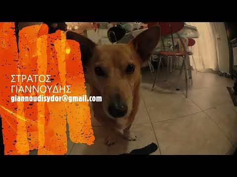 Βουλωμένος Νεροχύτης κουζίνας - Ξεβούλωμα νεροχύτη - απόφραξη νεροχύτη κουζίνας - Ο Υδραυλικός