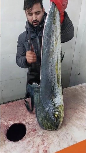 Mahi-Mahi Cleaning & Filleting — Fast and Clean Method