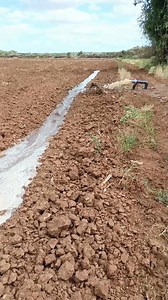 3.2M views · 19K reactions | No capital for drip or sprinklers?...