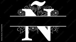 Letter Ñ Monogram, with ALPHA Channel (Transparent Background) In 4K Resolution