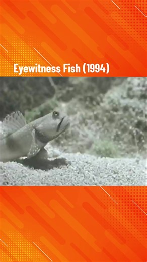 Eyewitness Fish (1994) - A Spectacular Journey Through the Underwater World of Fish
