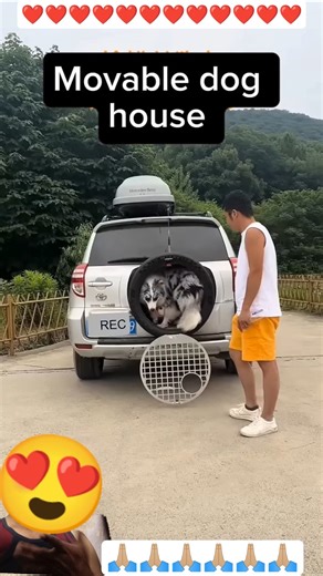 Innovative Movable Dog Home 🐕 #animals #satisfying #automobile #viral #pets #trending #funny #yt