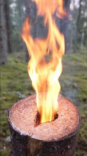 One Log Fire Torch #bushcraft