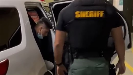 'Roblox predator' arrested over alleged grooming and rape of child