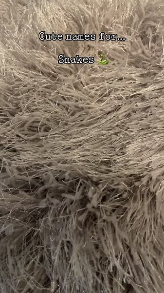 ~name ideas~ on TikTok