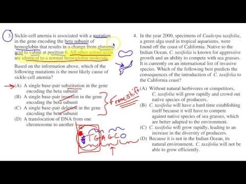 AP Biology Practice Test 3 - Part 1 Review