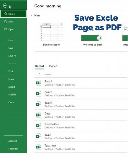 How to Save Excel current Page As PDF #shorts #exceltips