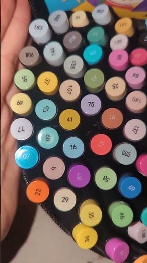 Soucolor Alcohol Markers Review | 80 Dual Brush Tip Coloring Markers for Artists & Card Making