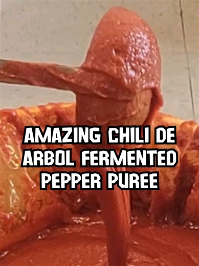 Creating Perfect Fermented Hot Sauce with Chili de Arbol