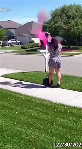 Zebra Dress Lady vs. Glitter Bomb Mailbox (INSTANT REGRET) 😱