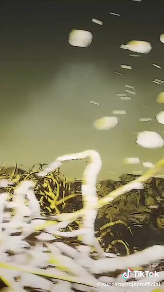 The Evolution of 'Base' in the Subzero Project: Chapter 3