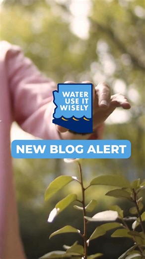 Pruning isn’t about control, it’s about plant health.  Over-shearing makes shrubs grow faster, drink more water, and lose their natural form. With the right spacing and once-a-year pruning, your landscape can thrive with fewer trims and more blooms. Ready to break up with the green spheres? Our pruning guide shows you how. wateruseitwisely.com/blog/pruning-shrubs-the-right-way #WaterUseItWisely #SaveWaterAZ | Water - Use It Wisely | Facebook