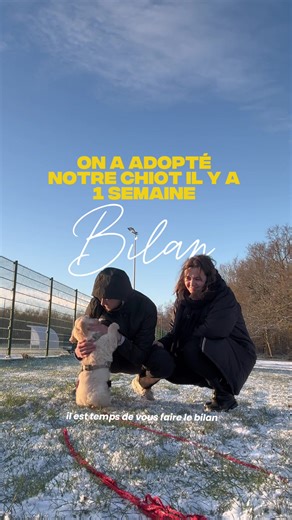 Adoption d'un chiot : Notre première semaine avec Bonnie ❤️‍🩹