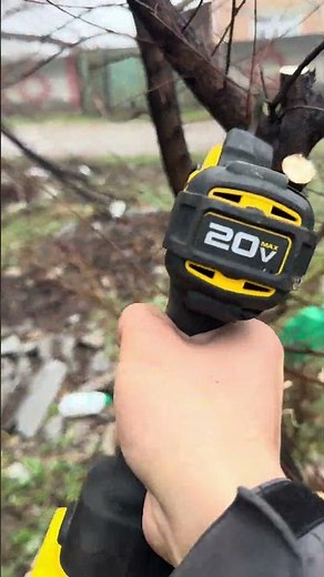 Cutting a Tree Branch with an Electric Pruner ⚡🌿