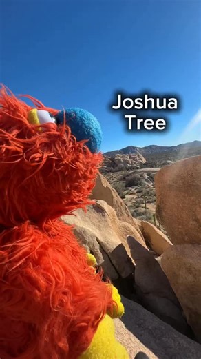 ℤ𝕒𝕔𝕜 𝔹𝕚𝕟𝕕𝕖𝕣 on Instagram: "Some footage from a beautiful weekend in Joshua Tree, California! “It ROCKED,” says Ticklemuff, “when life happens, as it often does, we just keep rolling”. 🪨🧡 Special thanks to @itspaigenorris @shan.sons & @stogsdillian for your help 🥰❤️ #ventriloquist #puppet #joshuatree #sketch"