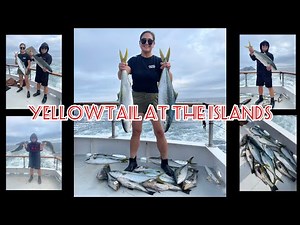 Yellowtail Fishing at Coronado Islands | Mission Belle | July 2024 | SoCal San Diego