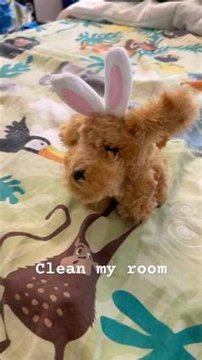 #funny #song Clean my room 💀