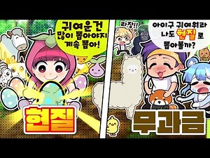 친구들이 다같이 현질을 생각한다고?.. 무과금vs현질 펫 편