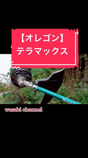 #詳しくはyoutubeにて #テラマックス #オレゴン #草刈り #充電式草刈機 #逆回転 #逆回転できる #マキタ #マキタ沼 #makita #MUR014G #40Vmax #TERRAMAX #OREGON #改造 #つる草 #便利グッズ #わさびチャンネル #ワサビチャンネル #wasabichannel