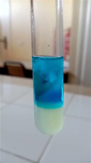 Extraction de l'ADN de banane.