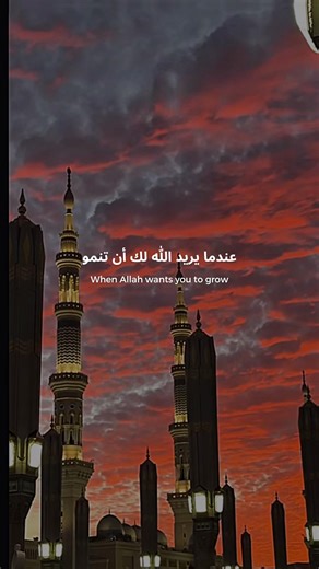 Trust His plan.“And Allah knows, while you do not know.” (Qur’an 2:216)#Allah #Islam #patience #deen