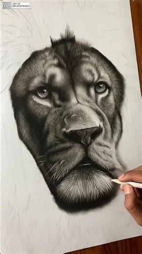 Apex Architecture | Engineering a Hyper-Realistic Lion #precisiondrawing