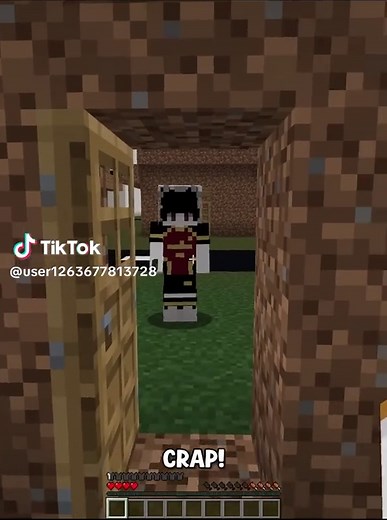 Minecraft: Surviving in Food Civilization