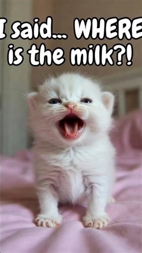 “Tiny Kitten Roars Like a Boss! 😂 | CatNews24 Fun Moment”