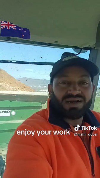 Enjoy Your Work: Embracing Passion and Productivity