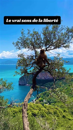 En Algérie, la liberté se ressent souvent dans les choses simples. Se promener à cheval le long de la mer, sentir le vent et regarder l’horizon donne un vrai sentiment d’espace et de calme. Dans le désert du Sahara, une balade à dos de dromadaire au milieu des dunes rappelle à quel point la nature peut être immense et apaisante. Mais la liberté, c’est aussi l’énergie des villes algériennes qui vivent presque sans pause. Les rues animées, les cafés ouverts tard, les gens qui se retrouvent et prof